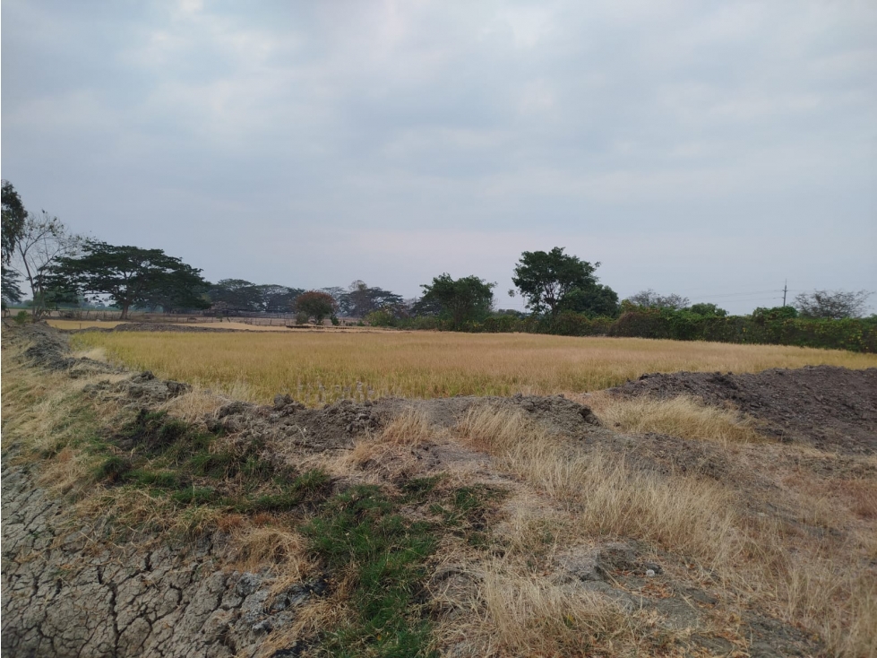 TERRENO EN VENTA LOMAS DE SARGENTILLO - 4