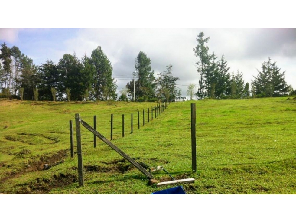 VENTA LOTE VARIANTE PALMAS- UBICACION Y VISTA — foto 3