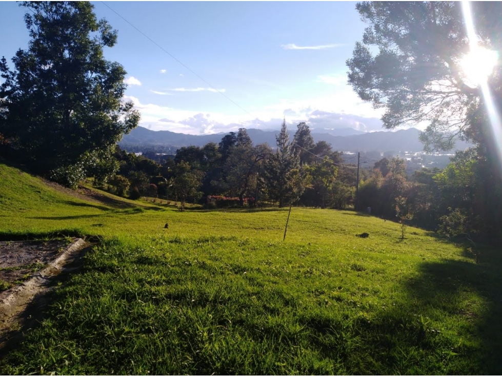 EN VENTA FINCA ENTRE EL CARMEN Y LA CEJA - 14650 m2 — foto 4