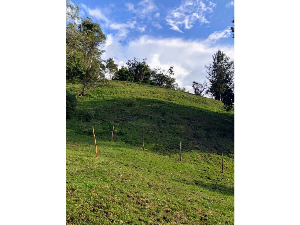 EN VENTA FINCA ENTRE EL CARMEN Y LA CEJA - 14650 m2 — foto 5