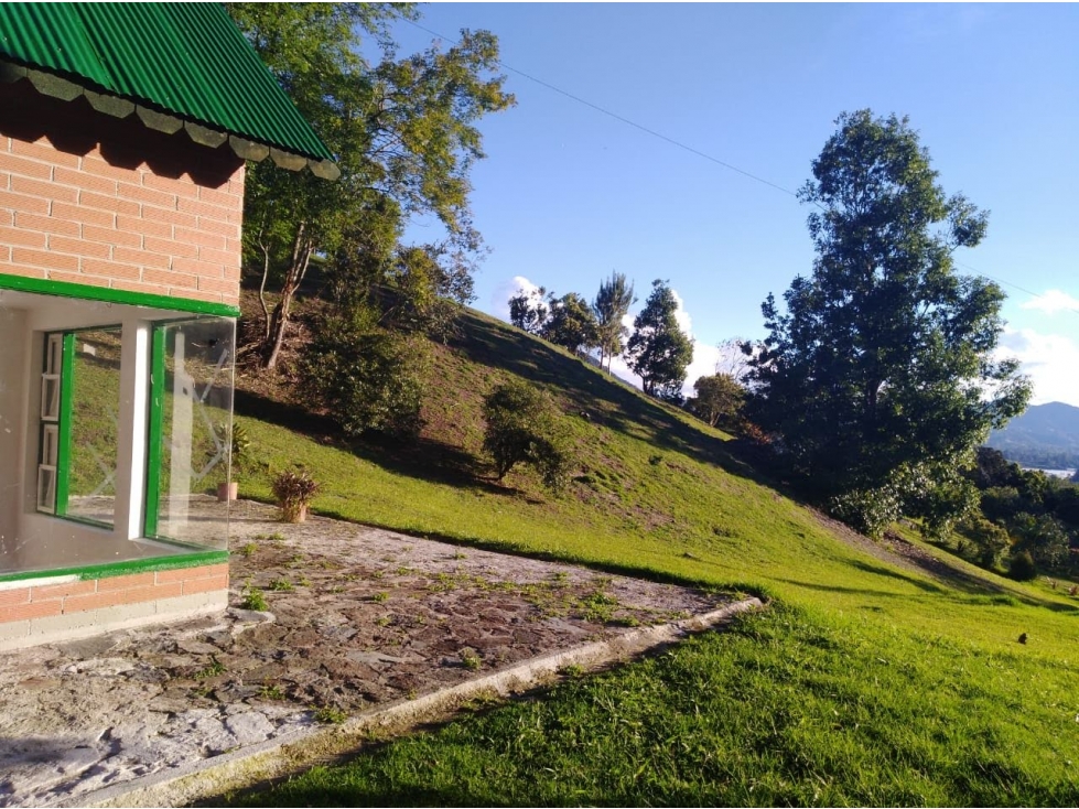 EN VENTA FINCA ENTRE EL CARMEN Y LA CEJA - 14650 m2 — foto 3