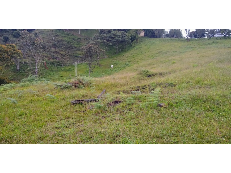 VENTA LOTE VARIANTE PALMAS- UBICACION Y VISTA — foto 4