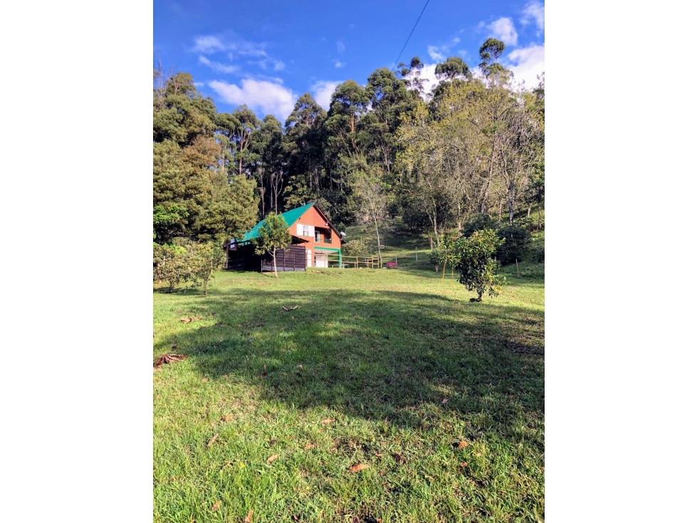 EN VENTA FINCA ENTRE EL CARMEN Y LA CEJA - 14650 m2