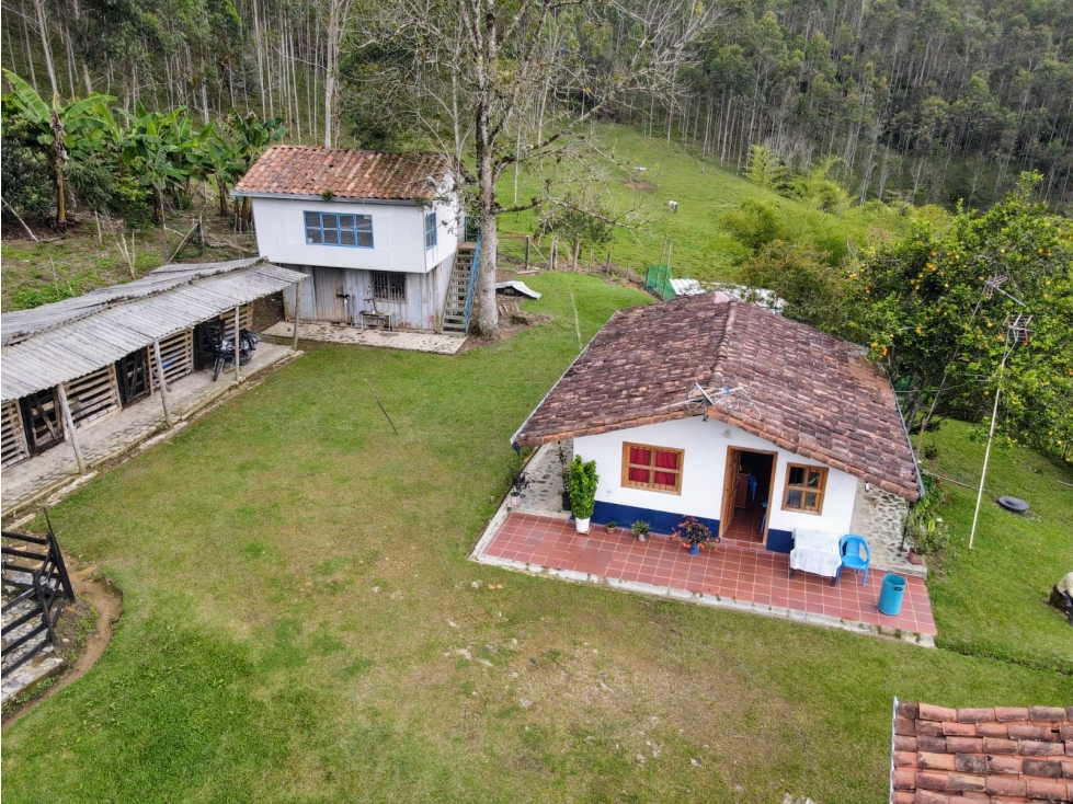 FINCA EN VENTA SANTO DOMINGO- 71.78 HECTAREAS - 5