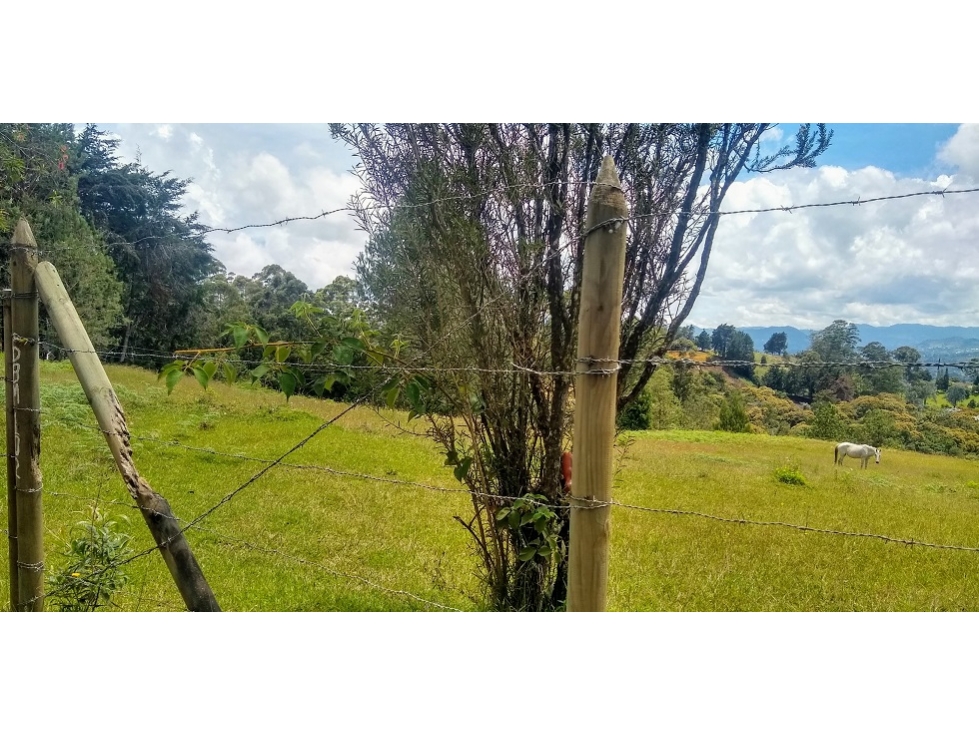 VENTA LOTE VARIANTE PALMAS- UBICACION Y VISTA — foto 6