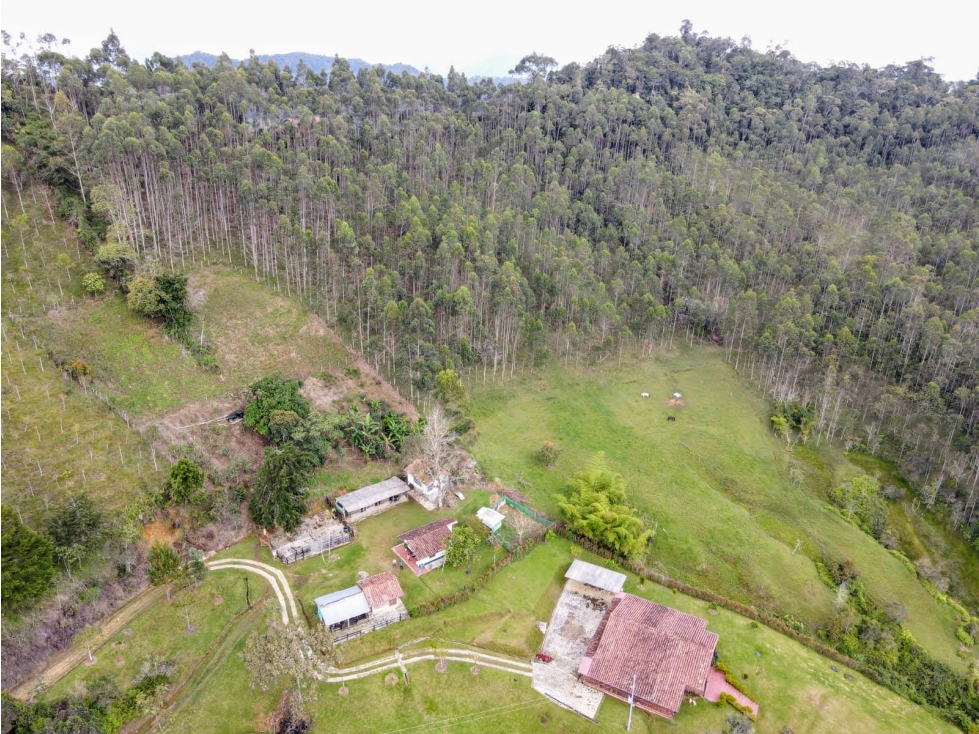FINCA EN VENTA SANTO DOMINGO- 71.78 HECTAREAS - 1