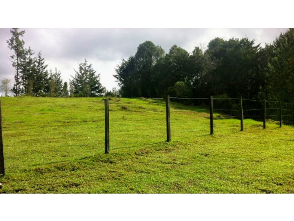 VENTA LOTE VARIANTE PALMAS- UBICACION Y VISTA — foto 2