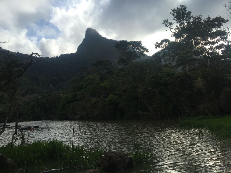 Terreno en venta ubicado en la Laguna de San Carlos (AA) - 1