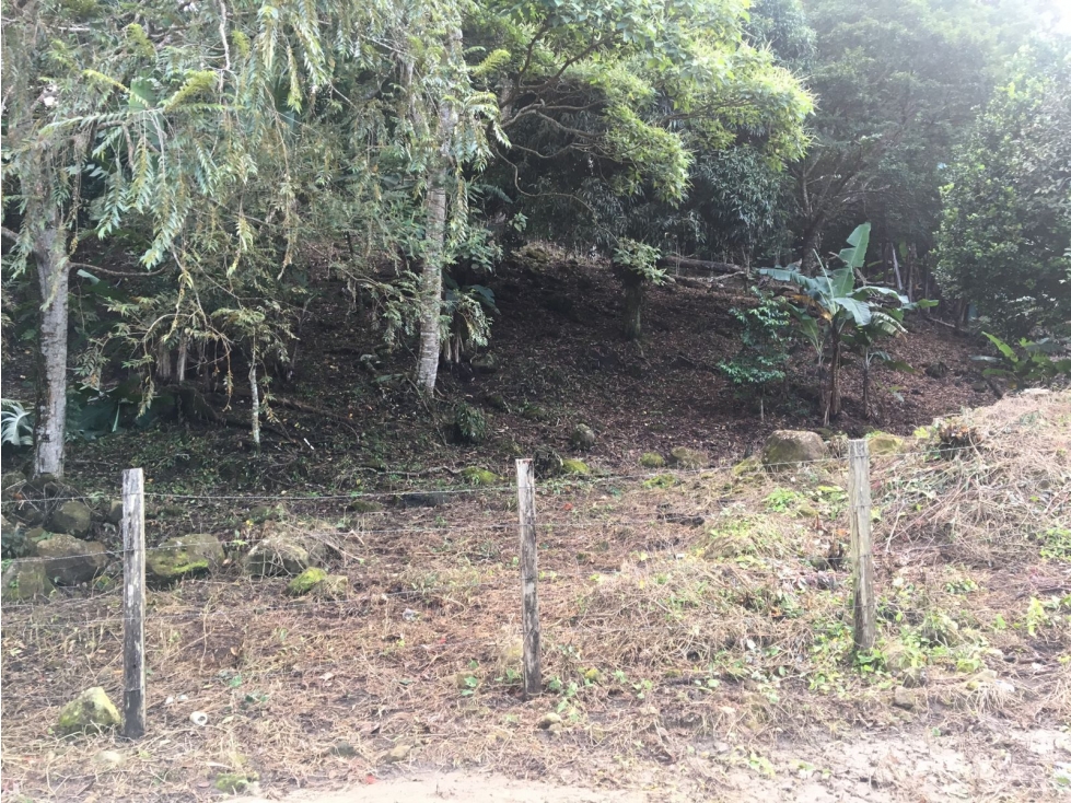 Terreno en venta ubicado en la Laguna de San Carlos (AA) - 3