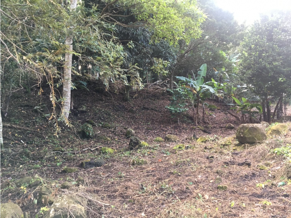 Terreno en venta ubicado en la Laguna de San Carlos (AA) - 6
