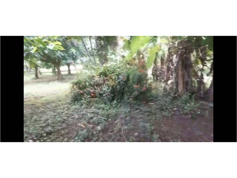 VENDO LOTE VIA AL SABANAL MONTERIA CORDOBA — foto 2