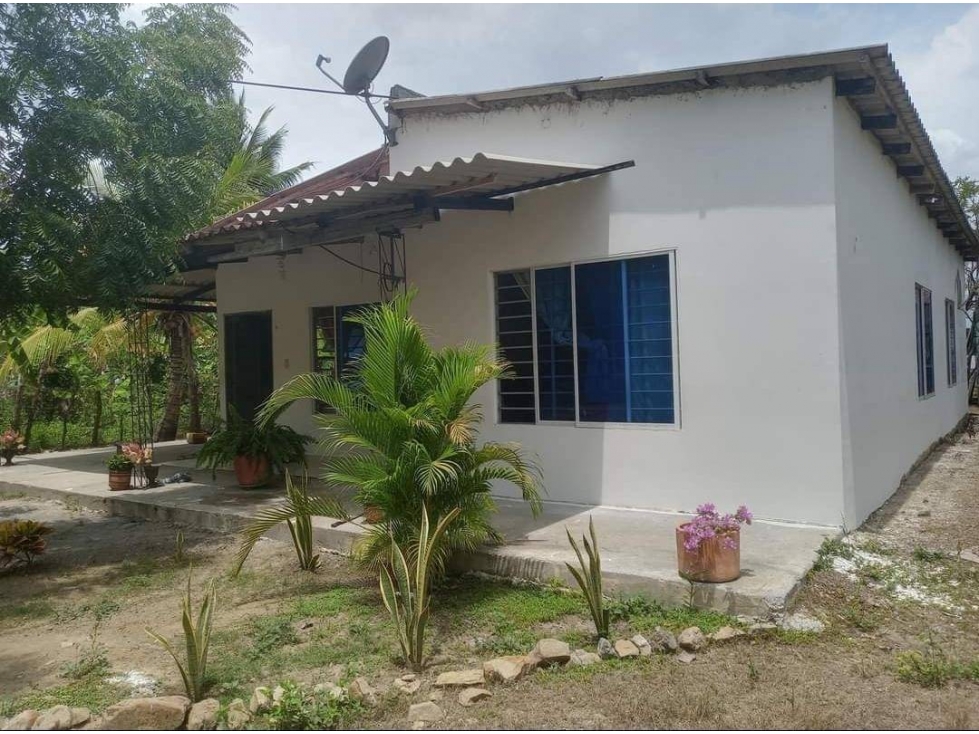 VENDO CASA FINCA EN SIERRA CHIQUITA CORDOBA COLOMBIA — foto 4