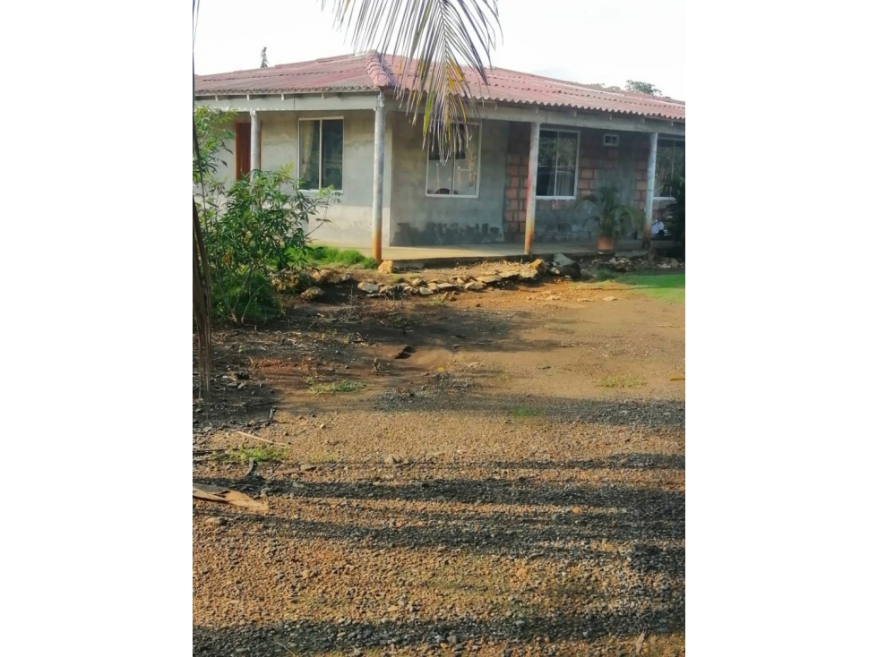 CASA CAMPESTRE EN VENTA EL PORVENIR VIA A TIERRALTA ALTO SINU — foto 3