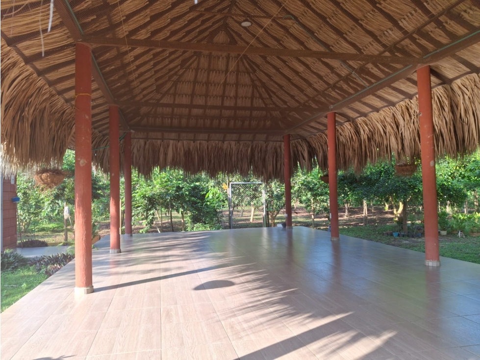 VENDO CASA FINCA EN SAN CARLOS CORDOBA COLOMBIA — foto 2