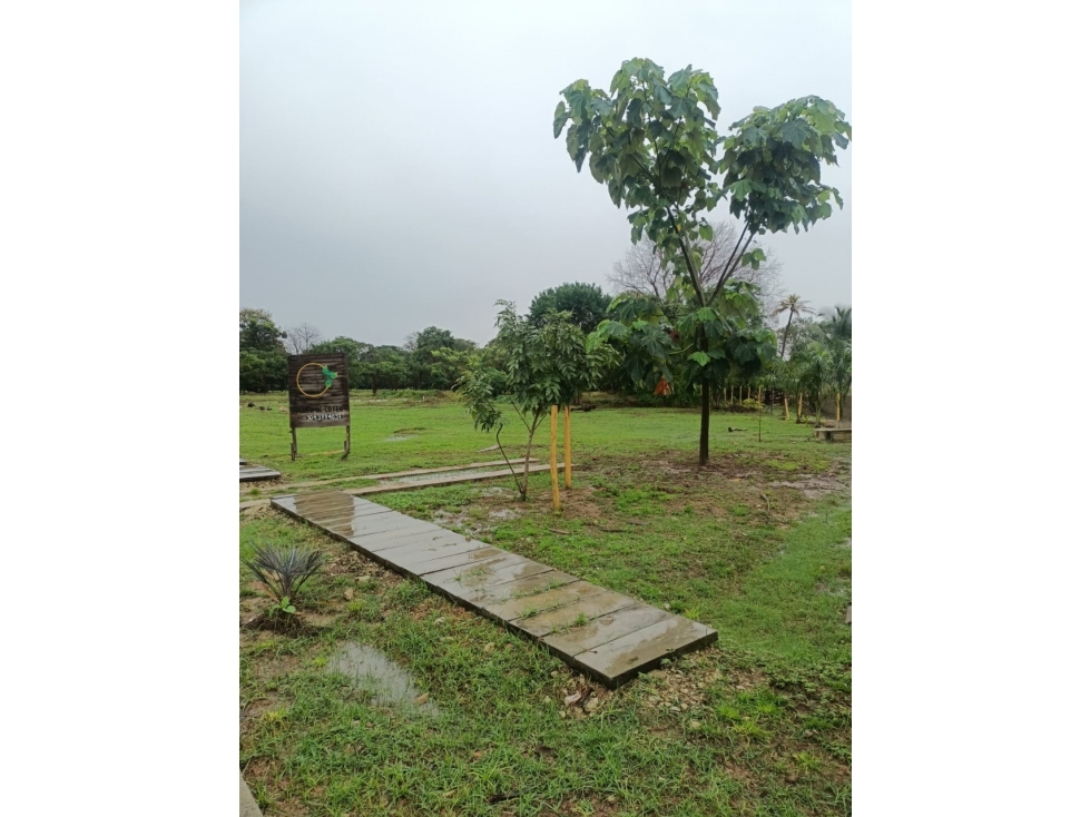 EN VENTA LOTE CAMPESTRE EN ARBOLETES ANTIOQUIA COLOMBIA - 3