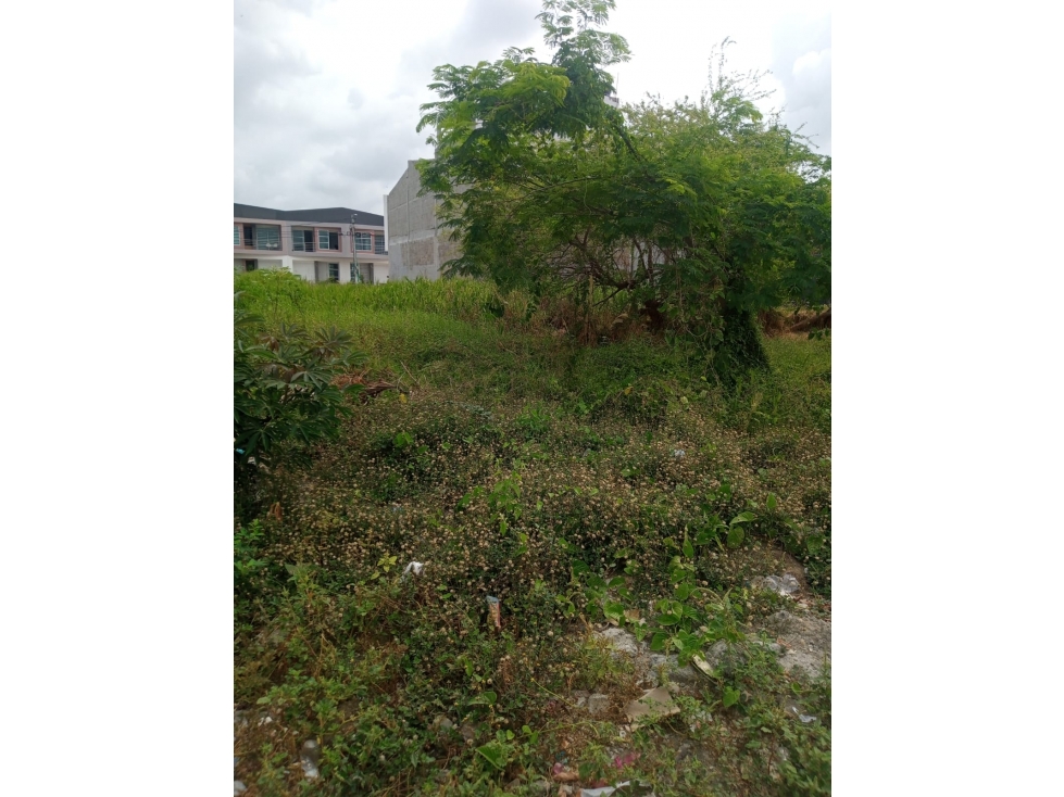 EN VENTA LOTE EN LA URBANIZACIÓN SAN FRANCISCO EN MONTERÍA