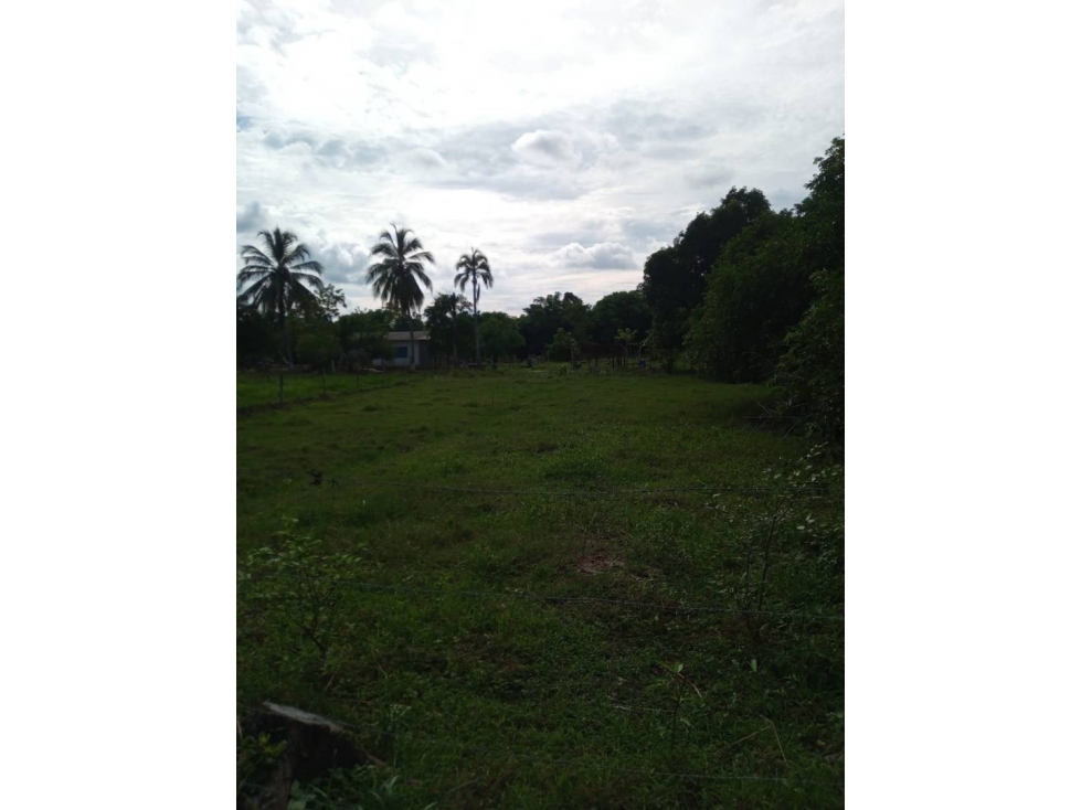 LOTE EN VENTA SECTOR EL FARO 4 MONTERIA