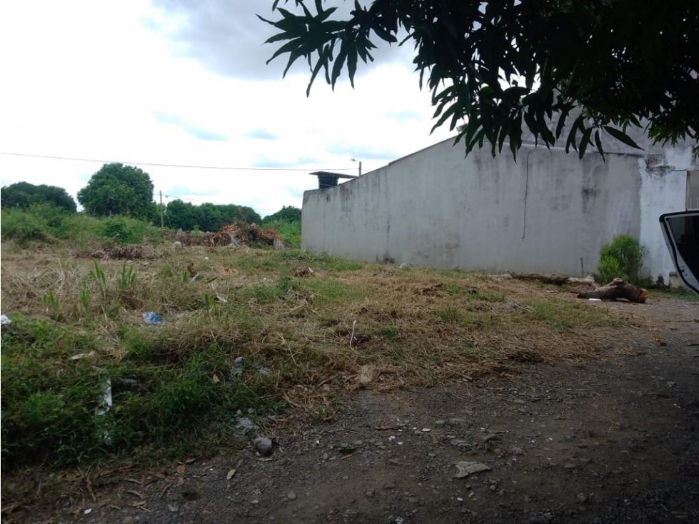 VENDO DOS LOTES EN LA URBANIZACION BONANZA MONTERIA CORDOBA — foto 3