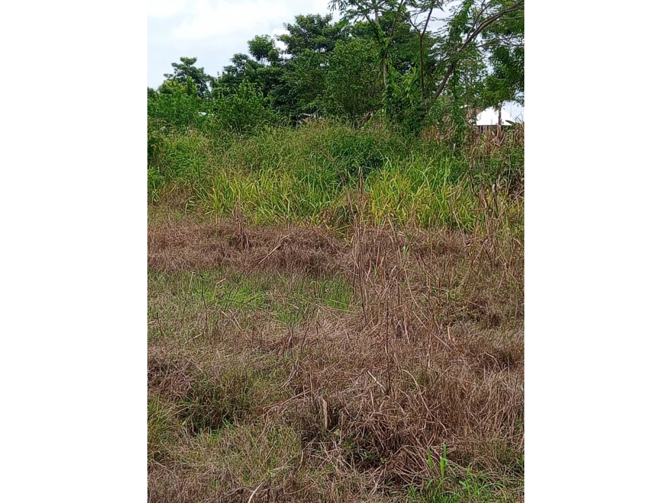 EN VENTA LOTE EN EL BARRIO NUEVO HORIZONTE VIA AL SABANAL MONTERIA — foto 3
