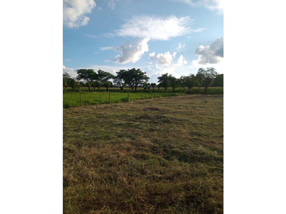 EN VENTA LOTE EN AGUAS NEGRAS CONJUNTO CERRADO FARALLONES CAMPESTRE