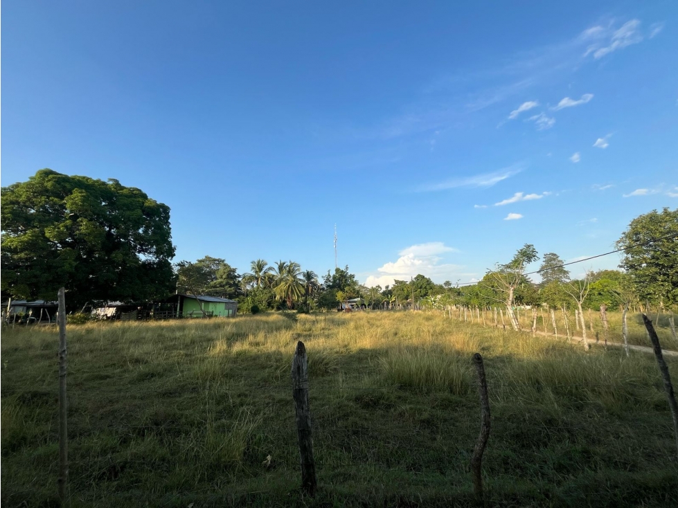 VENDO LOTES CAMPESTRES EN EL CAMPANO CERCA AL SABANAL MONTERIA CORDOBA