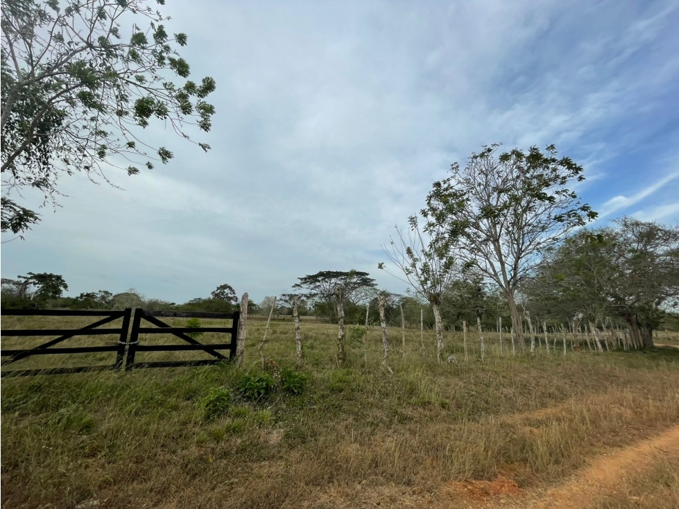 VENDO FINCA EN JARAQUIEL MONTERIA CORDOBA