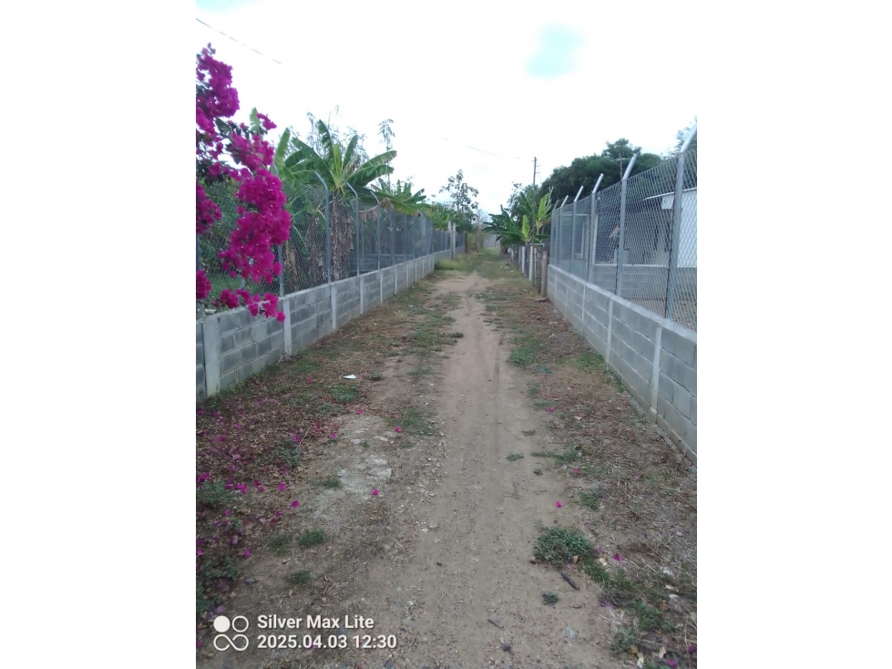VENDO LOTE UBICADO EN LOS PERICOS MONTERÍA - CÓRDOBA — foto 2