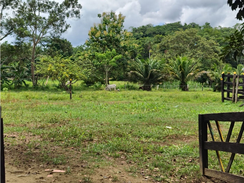 VENDO CASA FINCA EN LA VIA A PLANETA RICA CORDOBA