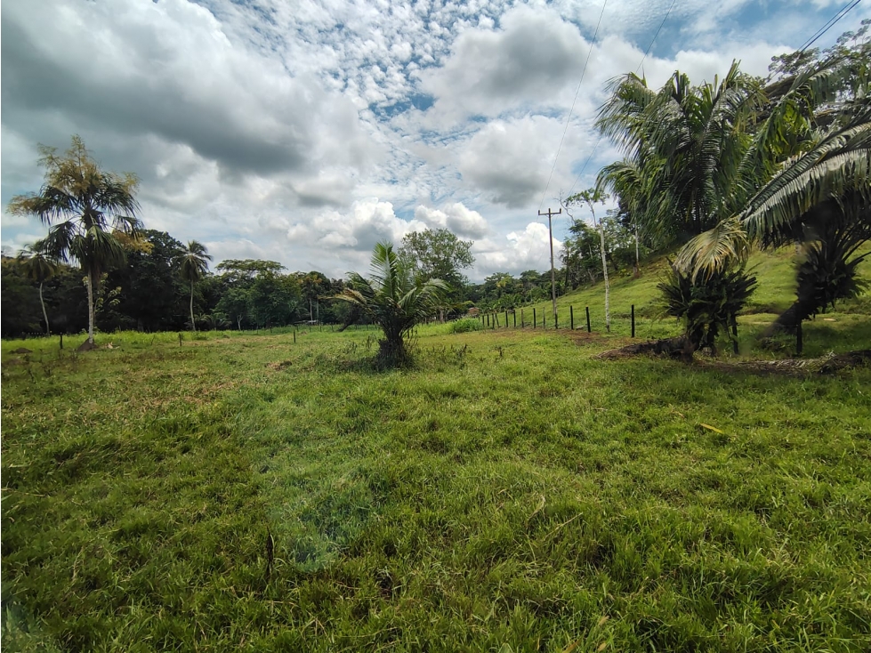 VENDO CASA CAMPESTRE EN LA VIA A PLANETA RICA CORDOBA