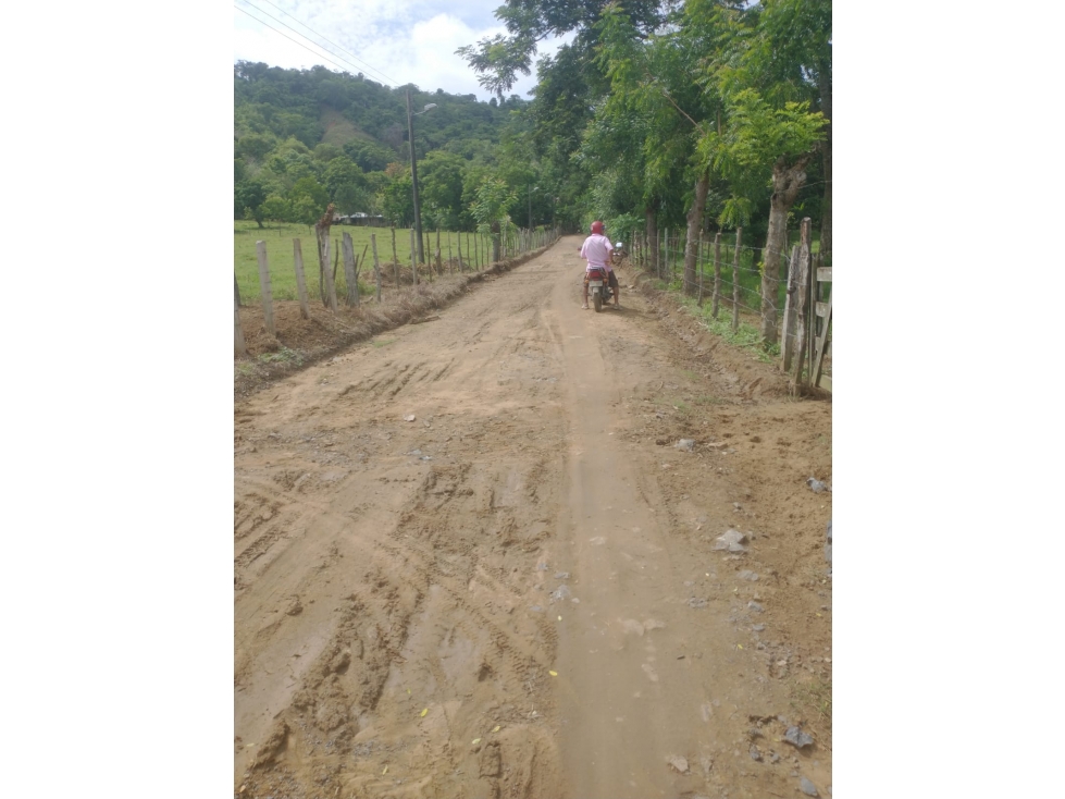 VENDO FINCA EN JARAQUIEL MONTERIA CORDOBA COLOMBIA — foto 2