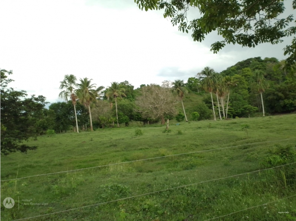 VENDO FINCA EN LOS CORDOBAS VIA A ARBOLETES - 1