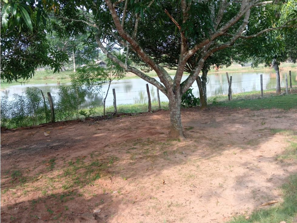 VENDO FINCA EN SAN CARLOS CORDOBA VIA A PLANETA RICA CORDOBA — foto 3