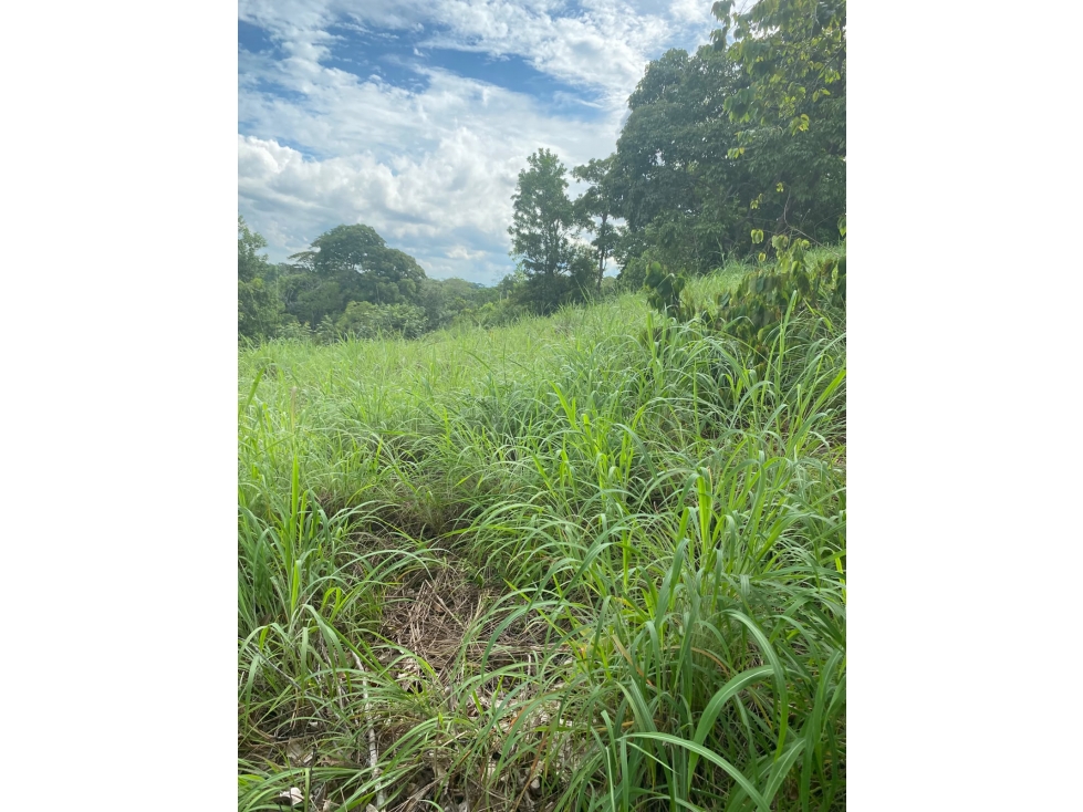 VENDO FINCA VIA MONTERIA PLANETA RICA CORDOBA