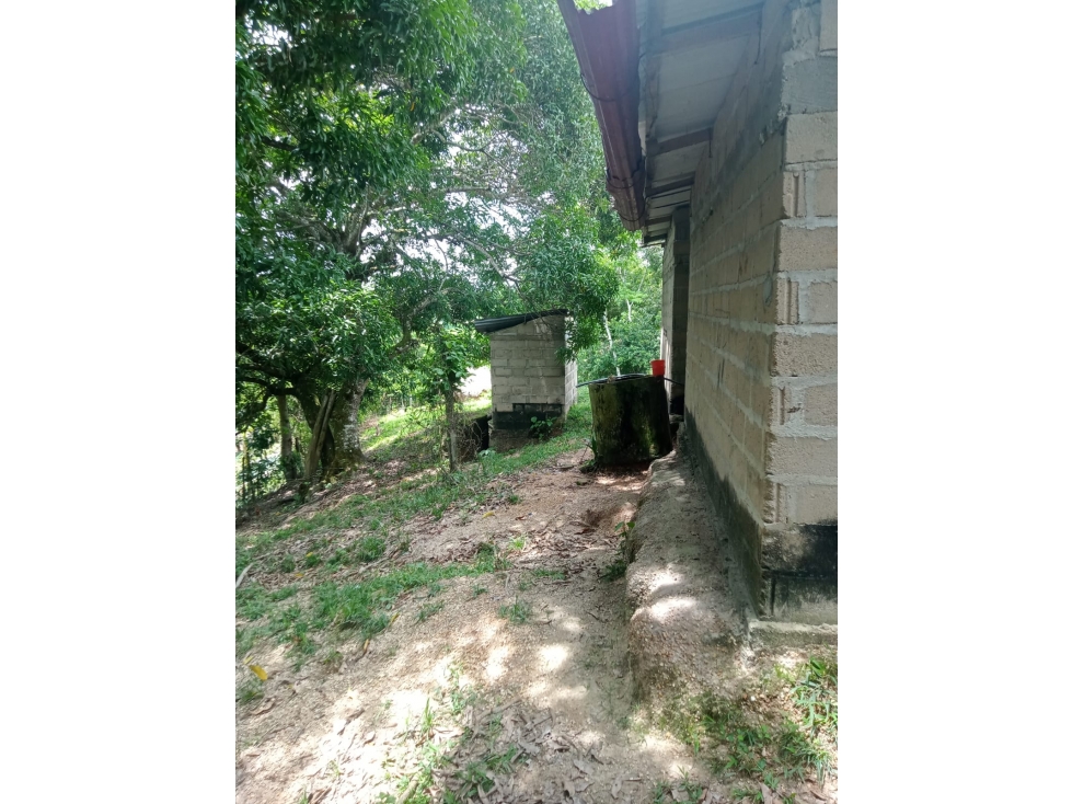 EN VENTA CASA CAMPESTRE EN LA VIA A PLANETA RICA KILOMETRO 30 — foto 4