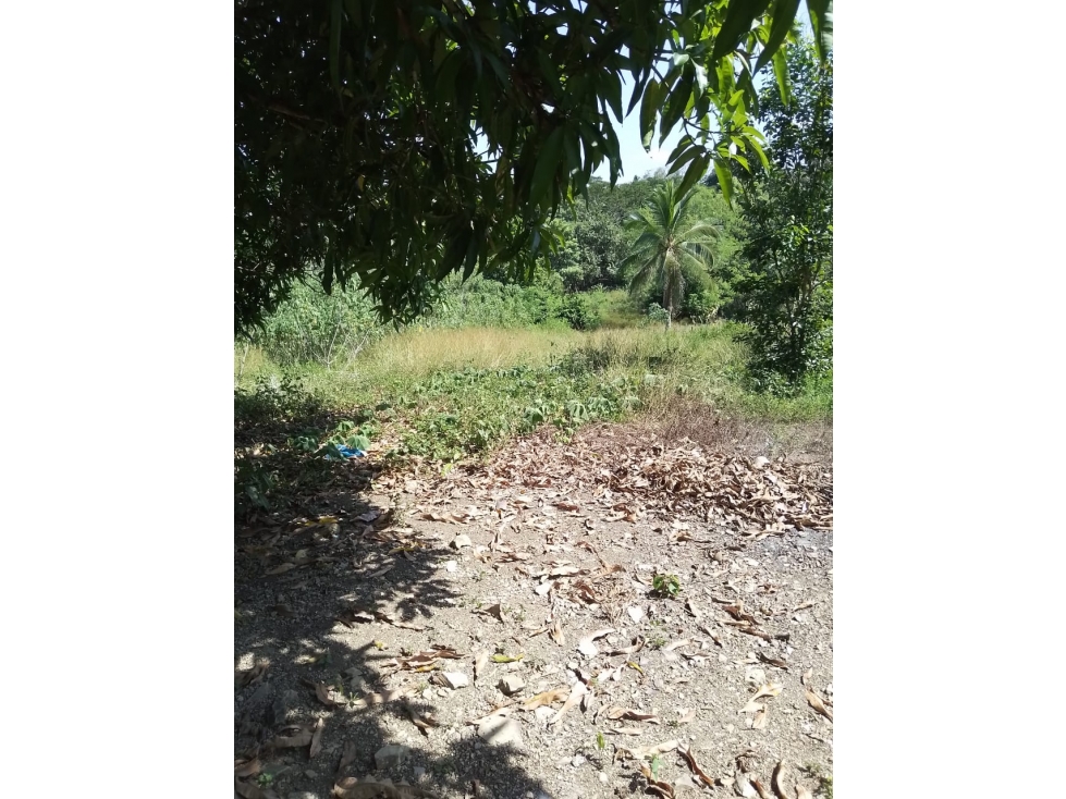 VENDO LOTE CAMPESTRE EN EL FARO 1 VIA A GUAS NEGRAS