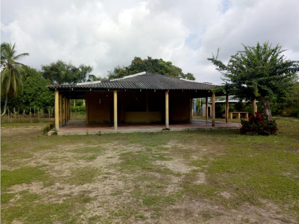 EN VENTA FINCA EN LA DOCTRINA AL LADO RIO SINU LORICA COLOMBIA - 1