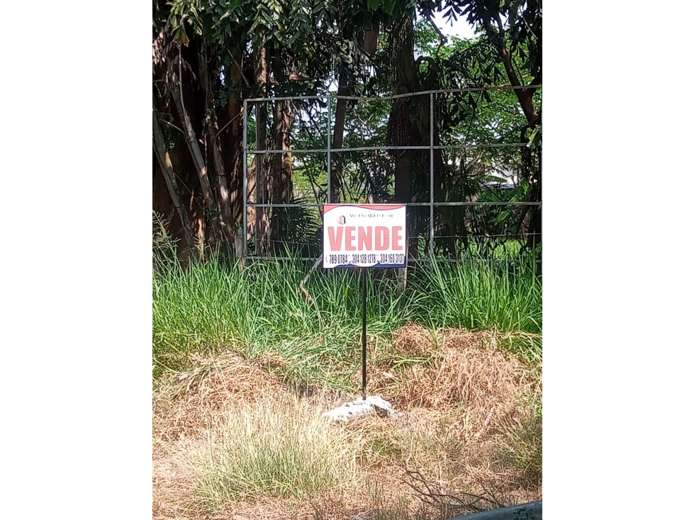 LOTE DE TERRENO DISPONIBLE PARA LA VENTA EN EL CENTRO DE MONTERIA — foto 4