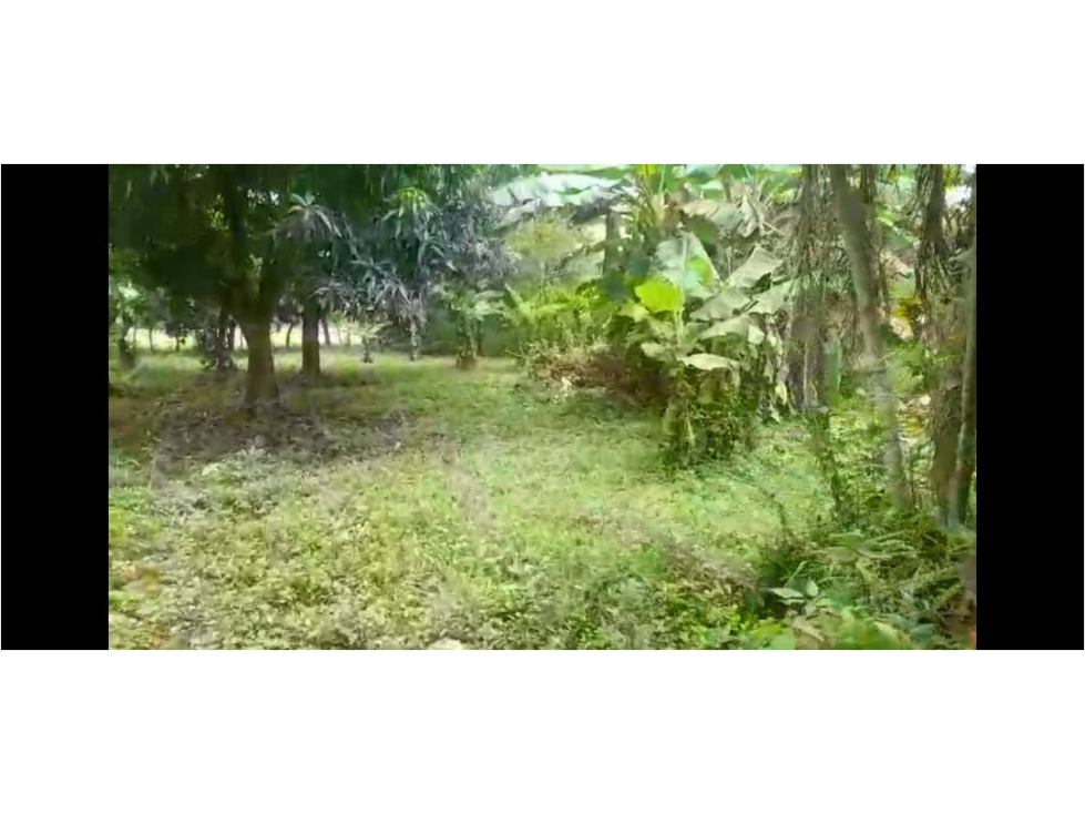 VENDO LOTE VIA AL SABANAL MONTERIA CORDOBA — foto 4