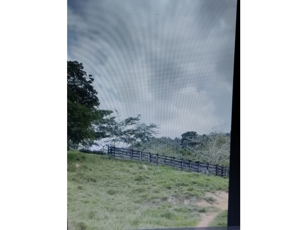 VENDO FINCA VIA MONTERIA PLANETA RICA CORDOBA SECTOR GUACHARACAL — foto 5
