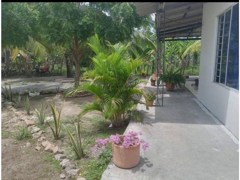 VENDO CASA FINCA EN SIERRA CHIQUITA CORDOBA COLOMBIA — foto 5