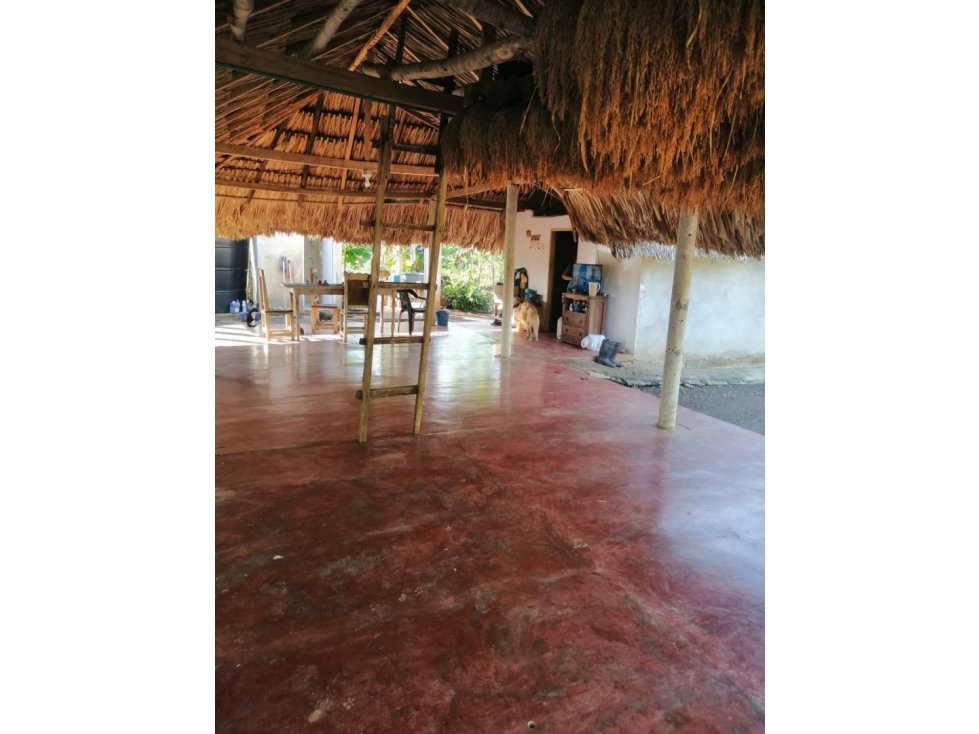 CASA CAMPESTRE EN VENTA EL PORVENIR VIA A TIERRALTA ALTO SINU — foto 2