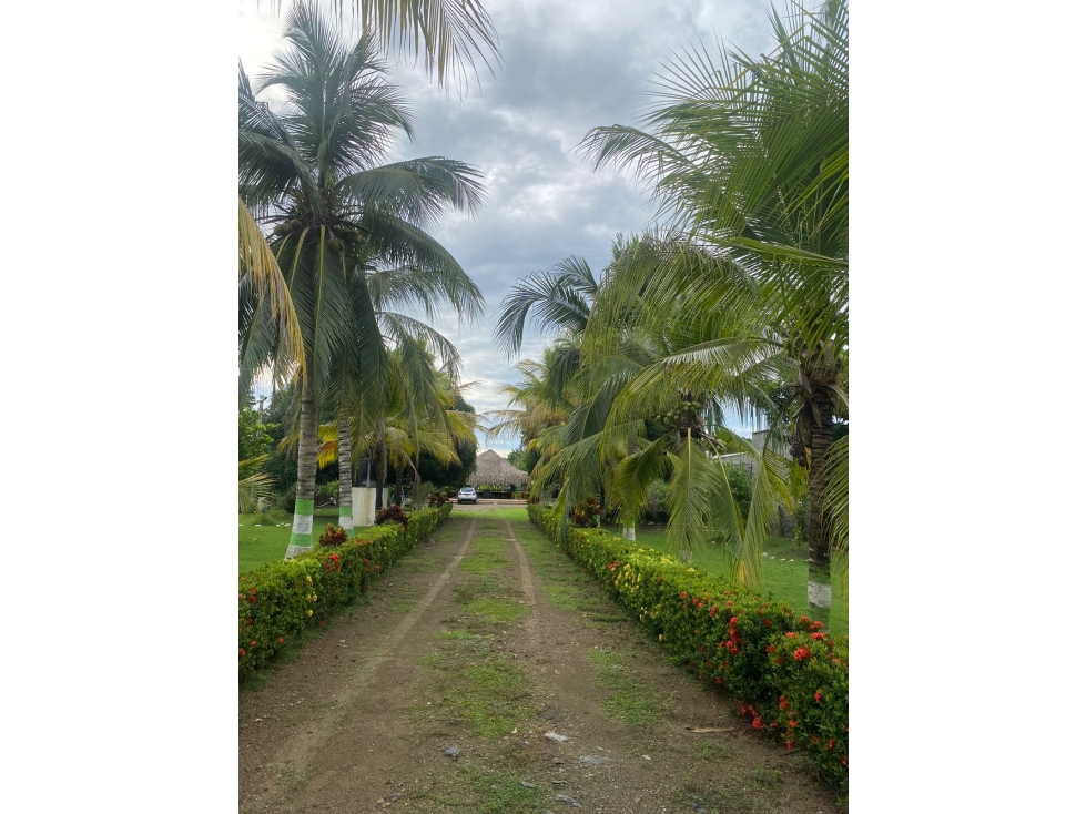 VENDO CASA CAMPESTRE EN SIERRA CHIQUITA MONTERIA CORDOBA — foto 2