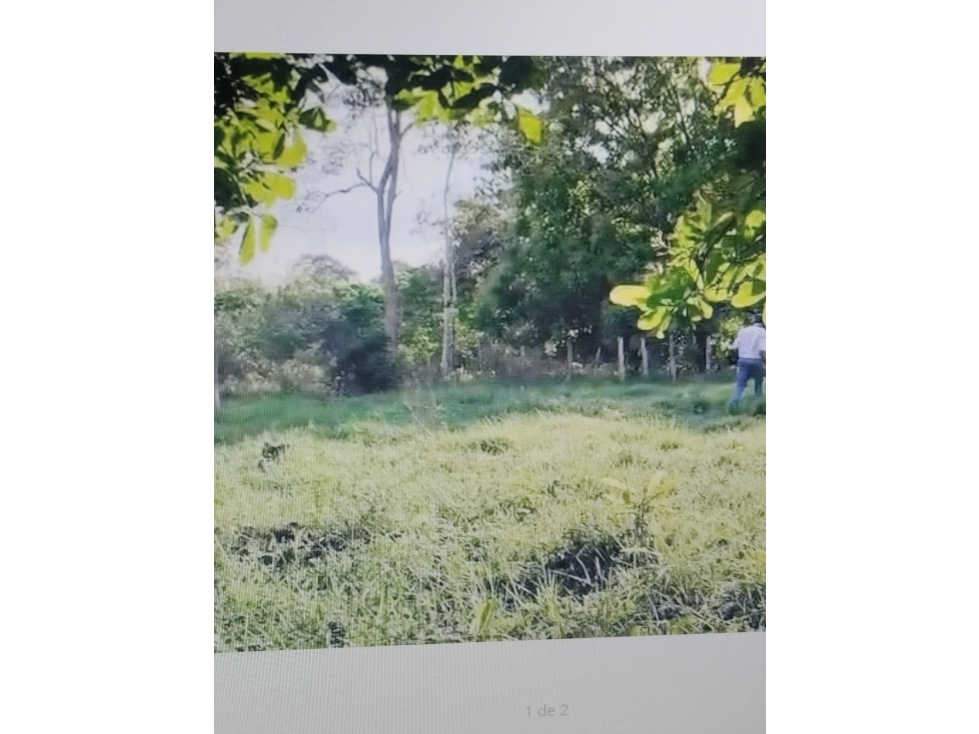 VENDO FINCA VIA MONTERIA PLANETA RICA KILOMETRO 32 — foto 5