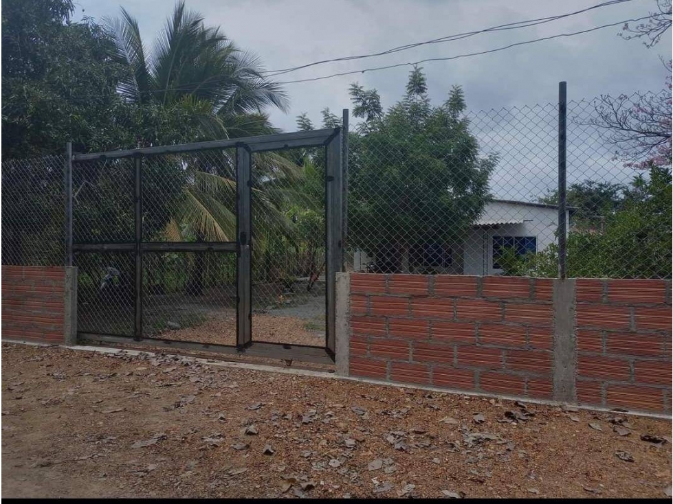 VENDO CASA FINCA EN SIERRA CHIQUITA CORDOBA COLOMBIA — foto 6