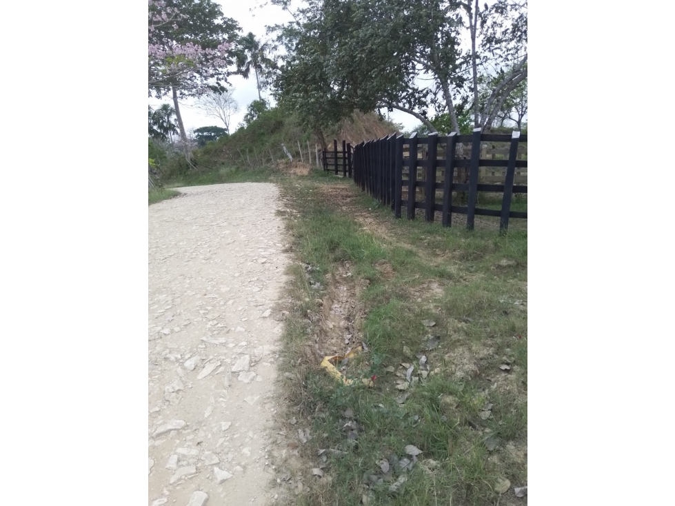 VENDO FINCA EN CANALETE CORDOBA COLOMBIA - 1