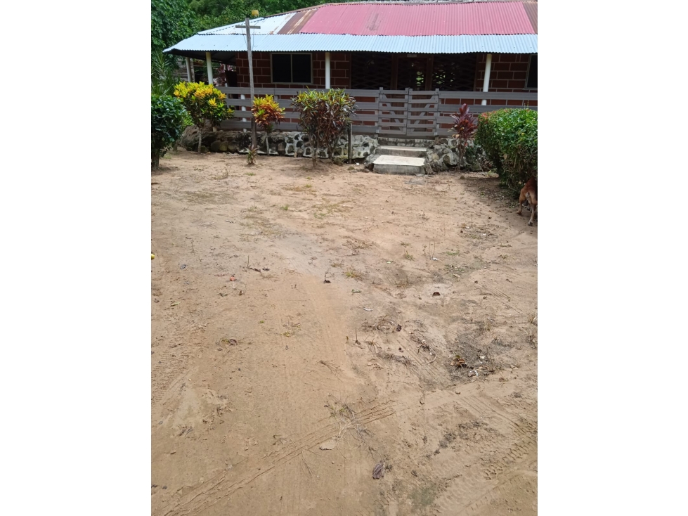 VENDO FINCA EN JARAQUIEL MONTERIA CORDOBA COLOMBIA