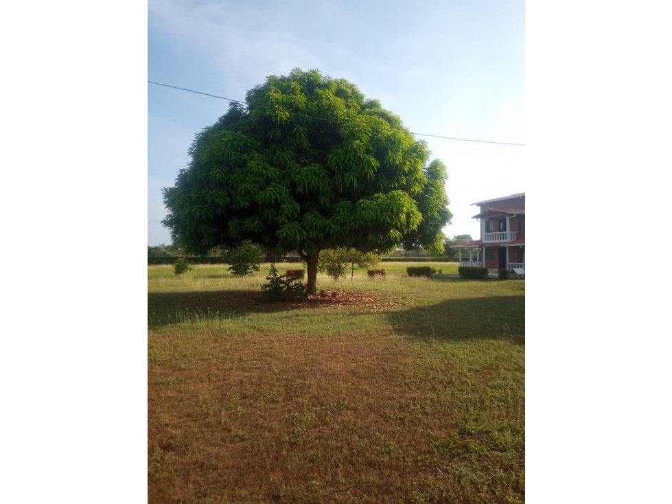 EN VENTA LOTE EN SAN BERNARDO DEL VIENTO EN CÓRDOBA - 1
