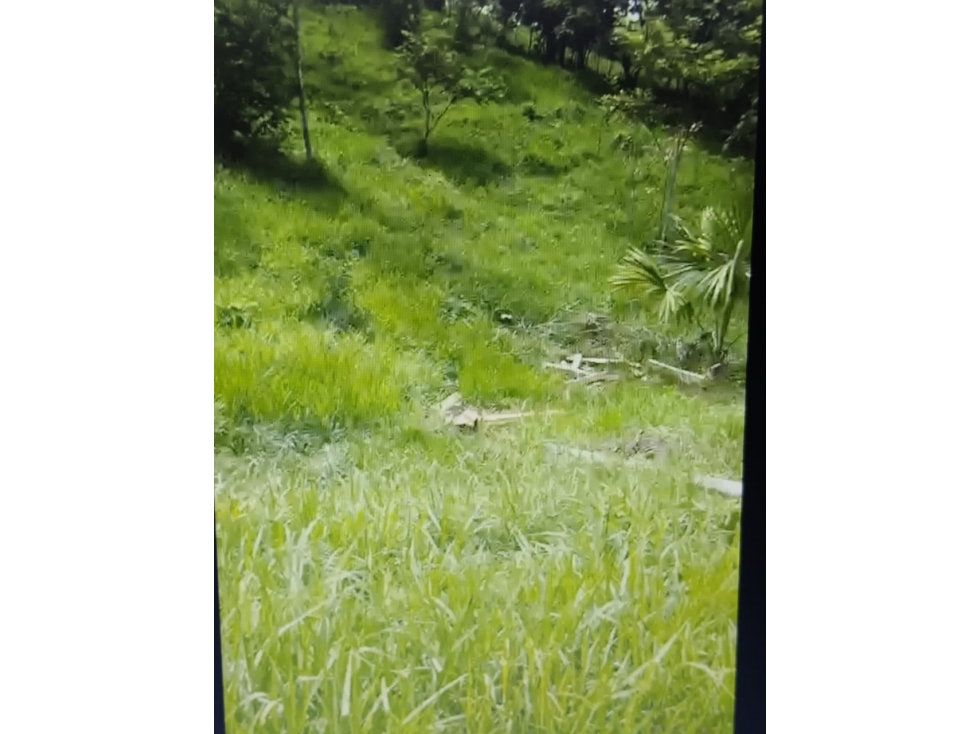 VENDO FINCA VIA MONTERIA PLANETA RICA CORDOBA SECTOR GUACHARACAL