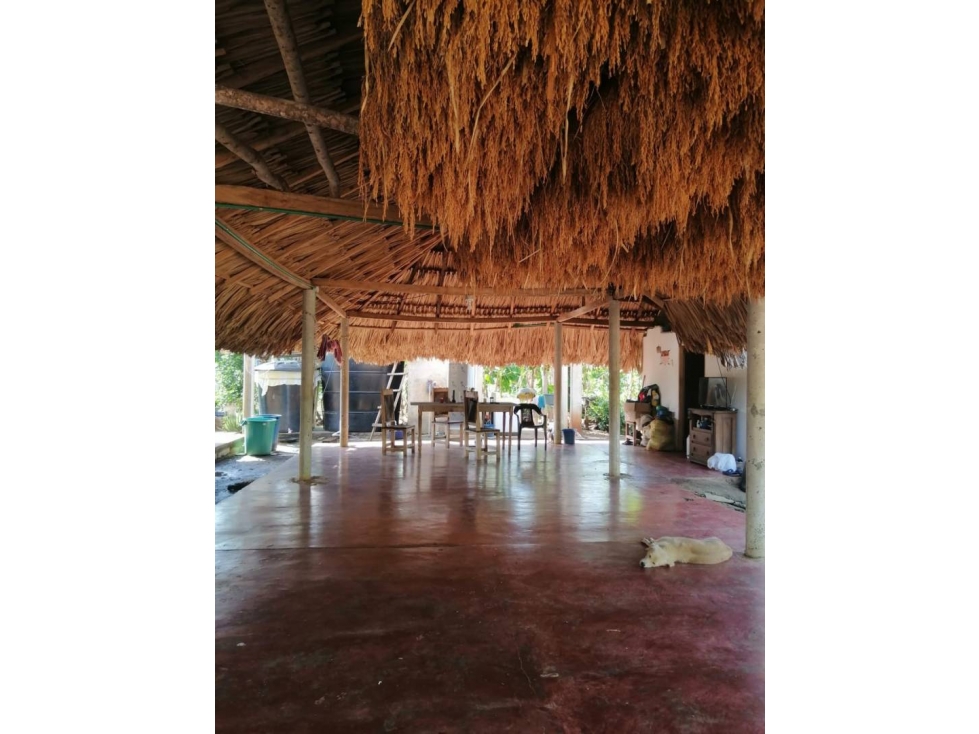 CASA CAMPESTRE EN VENTA EL PORVENIR VIA A TIERRALTA ALTO SINU