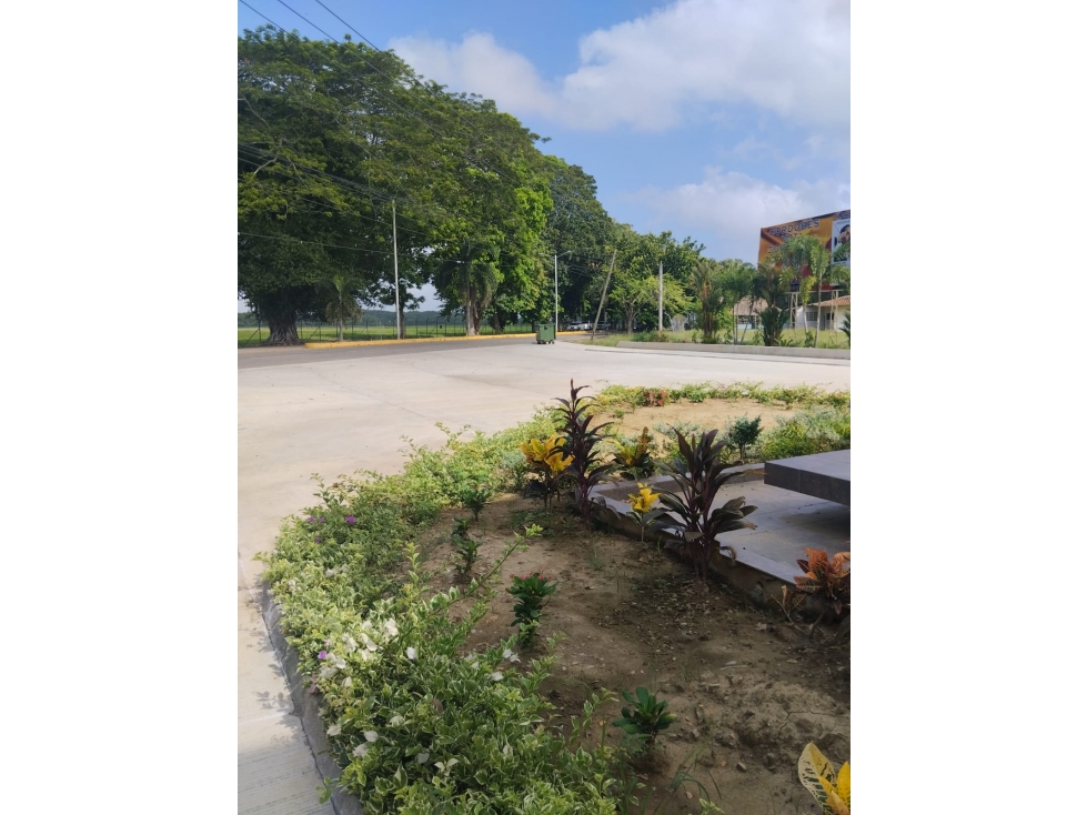 VENDO LOTE CAMPESTRE EN LAGOS DE SANTA RITA MATEO GOMEZ MONTERIA — foto 5